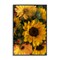Stupell Industries Bunches of Garden Sunflowers Framed Giclee, design by Kim Allen